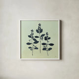 Botanical Study IV Sage by Julia Purinton. Shown in a crisp white glass frame for a clean and minimalist style. Available as an archival giclee rolled canvas, fine art paper, or poster print. SKU 49728a.