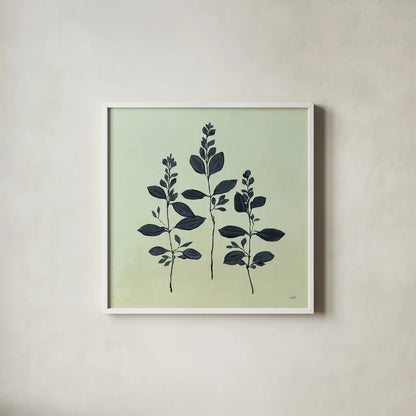 Botanical Study IV Sage by Julia Purinton. Shown in a crisp white glass frame for a clean and minimalist style. Available as an archival giclee rolled canvas, fine art paper, or poster print. SKU 49728a.