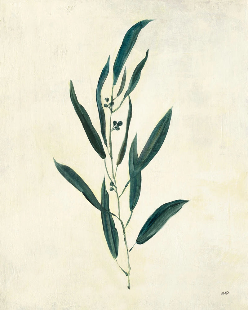 Botanical Study V by Julia Purinton