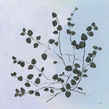 Botanical Study VII Blue by Julia Purinton. SKU 49725a. Archival Giclee Fine art print for wall decor.