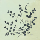 Botanical Study VII Sage by Julia Purinton. SKU 49729a. Archival Giclee Fine art print for wall decor.