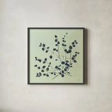 Botanical Study VII Sage by Julia Purinton. Shown in a sleek black glass frame for a contemporary gallery look. Available as an archival giclee rolled canvas, fine art paper, or poster print. SKU 49729a.