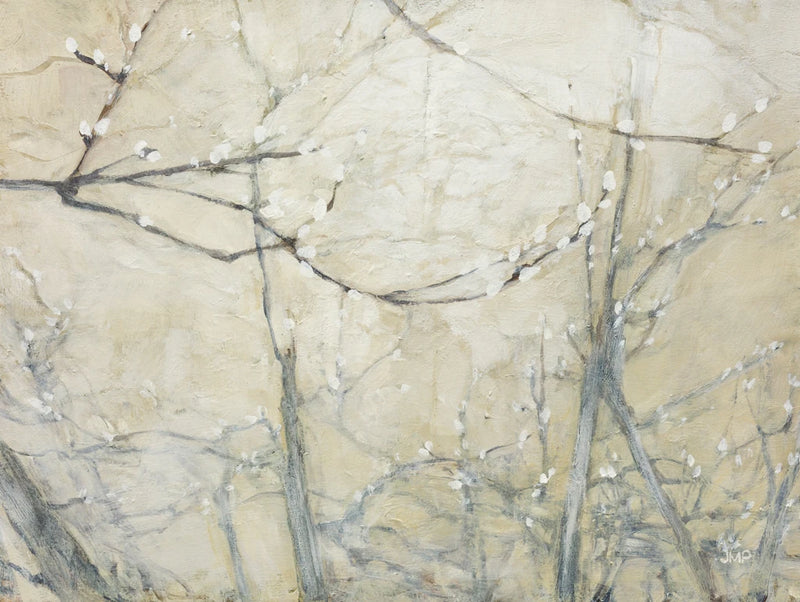 Budding Pussy Willow by Julia Purinton