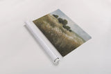 Calm Meadow by Julia Purinton. shown as a rolled paper print. Available as archival giclee rolled canvas, fine art paper, or poster print. SKU 89474i.