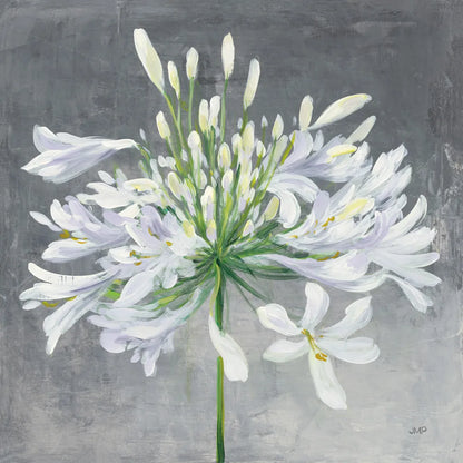 Cleome Splash I by Julia Purinton. SKU 47855a. Archival Giclee Fine art print for wall decor.