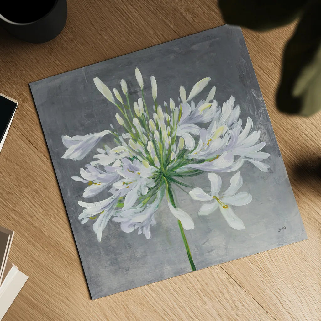 Cleome Splash I by Julia Purinton. Shown as a detailed flat fine art print, highlighting archival giclee quality. Available as an archival giclee rolled canvas, fine art paper, or poster print. SKU 47855a.