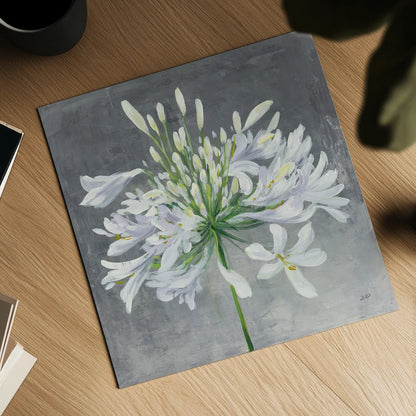 Cleome Splash I by Julia Purinton. Shown as a detailed flat fine art print, highlighting archival giclee quality. Available as an archival giclee rolled canvas, fine art paper, or poster print. SKU 47855a.
