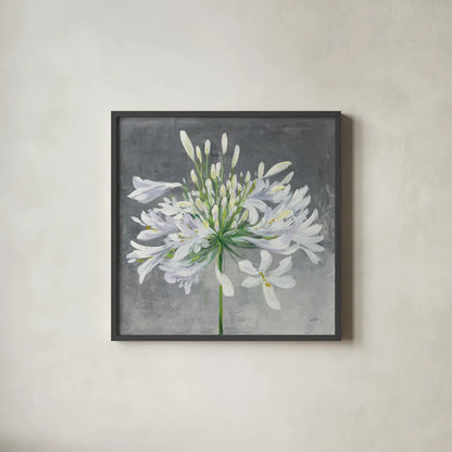 Cleome Splash I by Julia Purinton. Shown in a sleek black glass frame for a contemporary gallery look. Available as an archival giclee rolled canvas, fine art paper, or poster print. SKU 47855a.