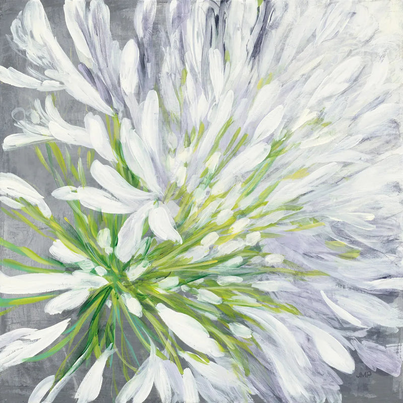 Cleome Splash II by Julia Purinton. SKU 47856a. Archival Giclee Fine art print for wall decor.