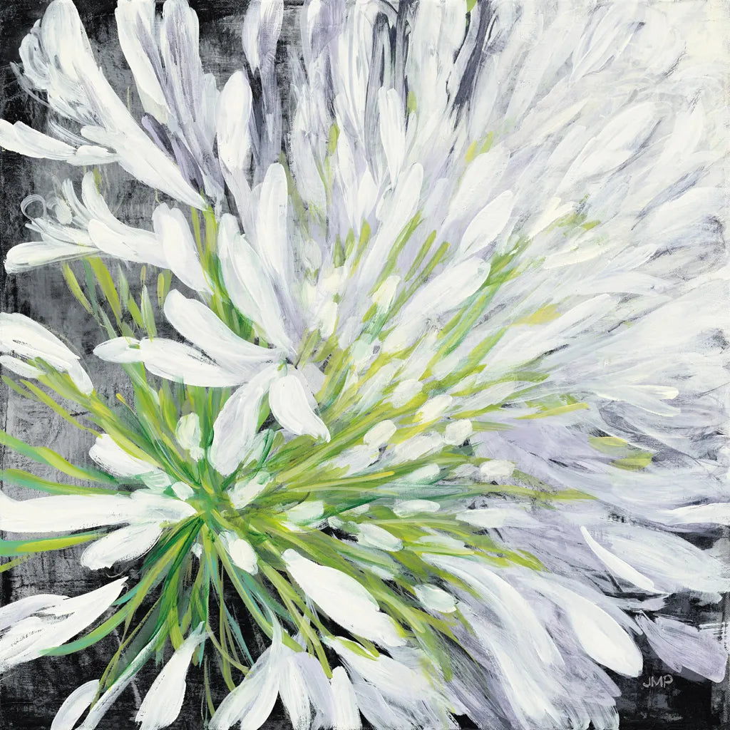 Cleome Splash II Black by Julia Purinton. SKU 56965a. Archival Giclee Fine art print for wall decor.
