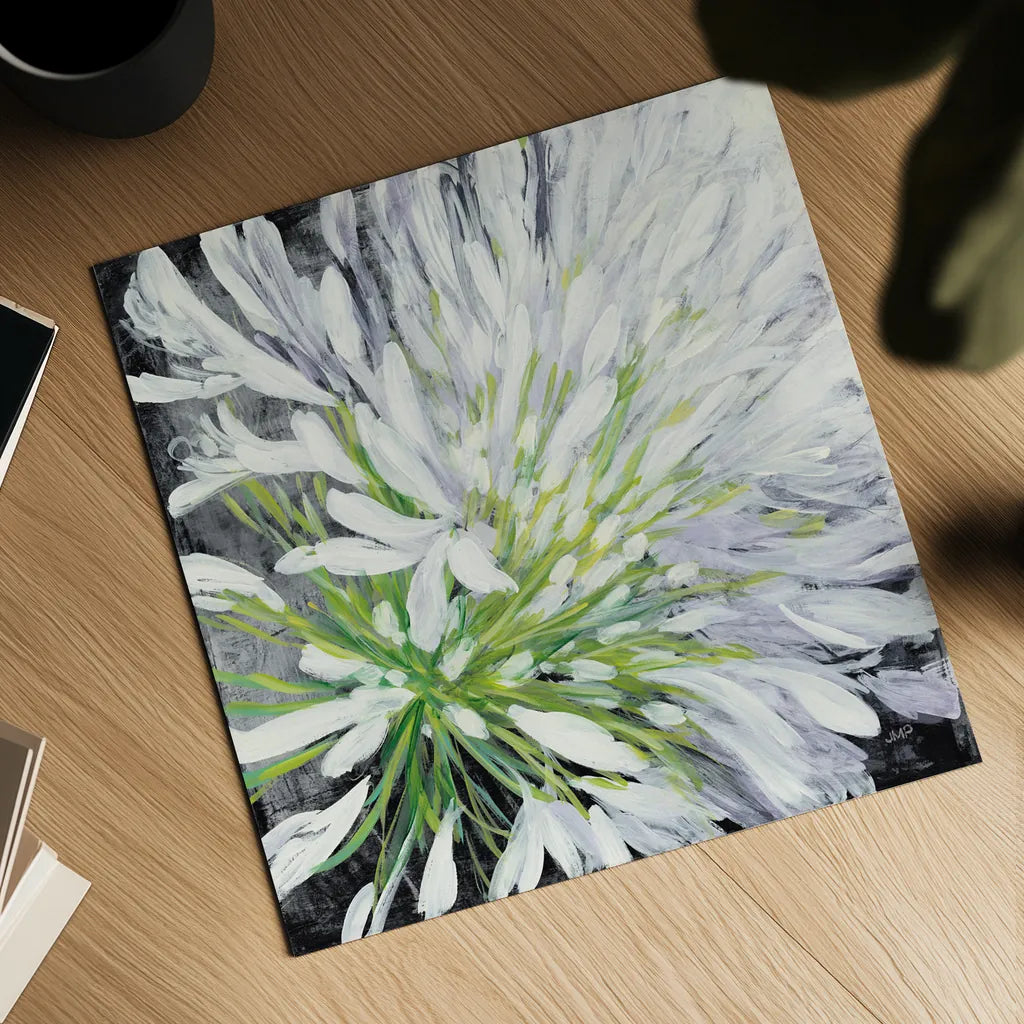 Cleome Splash II Black by Julia Purinton. Shown as a detailed flat fine art print, highlighting archival giclee quality. Available as an archival giclee rolled canvas, fine art paper, or poster print. SKU 56965a.