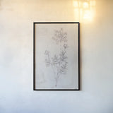 Delicate Meadow I by Julia Purinton. shown as a paper print in a black flame. Available as a archival giclee rolled canvas, fine art paper, or poster print. SKU 91564h.