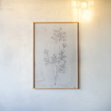 Delicate Meadow I by Julia Purinton. shown as a paper print in a natural frame. Available as a archival giclee rolled canvas, fine art paper, or poster print. SKU 91564h.