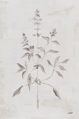Delicate Meadow III by Julia Purinton. SKU 91566h. Archival Giclee Fine art print for wall decor.