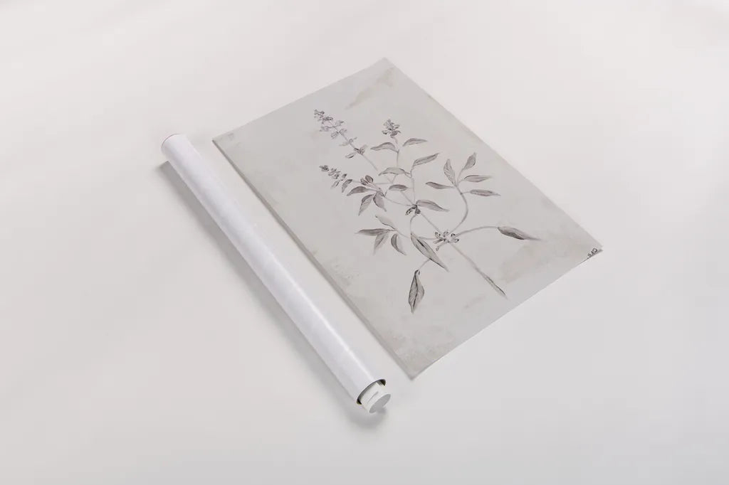 Delicate Meadow III by Julia Purinton. shown as a rolled paper print. Available as archival giclee rolled canvas, fine art paper, or poster print. SKU 91566h.