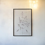 Delicate Meadow III by Julia Purinton. shown as a paper print in a black flame. Available as a archival giclee rolled canvas, fine art paper, or poster print. SKU 91566h.