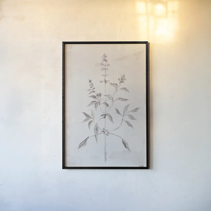 Delicate Meadow III by Julia Purinton. shown as a paper print in a black flame. Available as a archival giclee rolled canvas, fine art paper, or poster print. SKU 91566h.