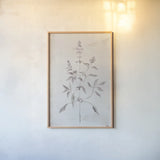 Delicate Meadow III by Julia Purinton. shown as a paper print in a natural frame. Available as a archival giclee rolled canvas, fine art paper, or poster print. SKU 91566h.