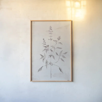 Delicate Meadow III by Julia Purinton. shown as a paper print in a natural frame. Available as a archival giclee rolled canvas, fine art paper, or poster print. SKU 91566h.