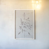Delicate Meadow III by Julia Purinton. shown as a paper print in a white frame. Available as a archival giclee rolled canvas, fine art paper, or poster print. SKU 91566h.