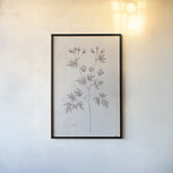 Delicate Meadow IV by Julia Purinton. shown as a paper print in a black flame. Available as a archival giclee rolled canvas, fine art paper, or poster print. SKU 91567h.