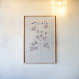 Delicate Meadow IV by Julia Purinton. shown as a paper print in a natural frame. Available as a archival giclee rolled canvas, fine art paper, or poster print. SKU 91567h.