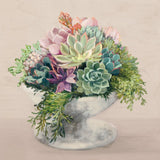 Festive Succulents II Blush by Julia Purinton. SKU 66124a. Archival Giclee Fine art print for wall decor.