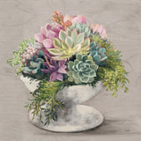 Festive Succulents II Gray by Julia Purinton. SKU 64812a. Archival Giclee Fine art print for wall decor.