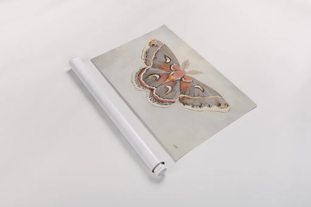 Forest Moth I by Julia Purinton. shown as a rolled paper print. Available as archival giclee rolled canvas, fine art paper, or poster print. SKU 91061i.