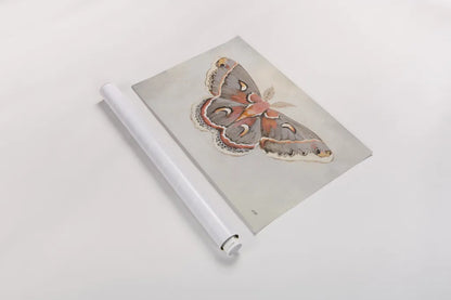 Forest Moth I by Julia Purinton. shown as a rolled paper print. Available as archival giclee rolled canvas, fine art paper, or poster print. SKU 91061i.