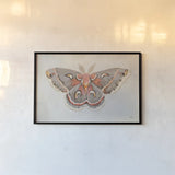 Forest Moth I by Julia Purinton. shown as a paper print in a black flame. Available as a archival giclee rolled canvas, fine art paper, or poster print. SKU 91061i.