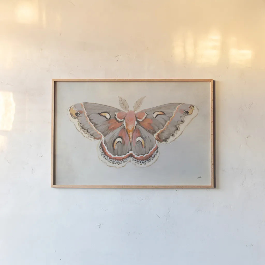 Forest Moth I by Julia Purinton. shown as a paper print in a natural frame. Available as a archival giclee rolled canvas, fine art paper, or poster print. SKU 91061i.