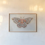 Forest Moth I by Julia Purinton. shown as a paper print in a natural frame. Available as a archival giclee rolled canvas, fine art paper, or poster print. SKU 91061i.