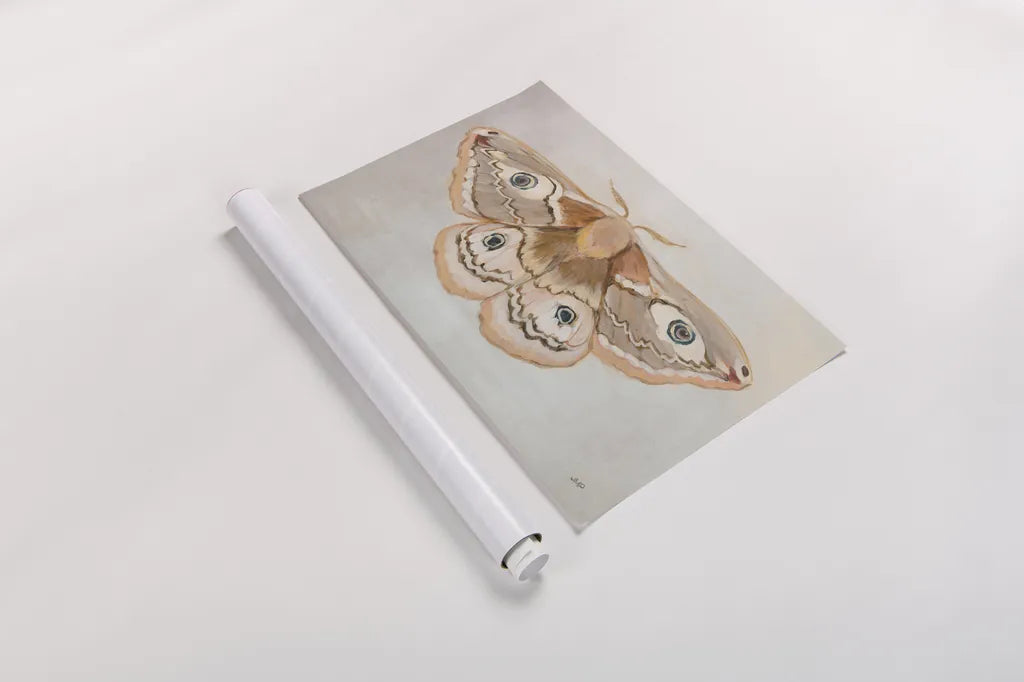 Forest Moth II by Julia Purinton. shown as a rolled paper print. Available as archival giclee rolled canvas, fine art paper, or poster print. SKU 91062i.