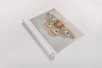 Forest Moth II by Julia Purinton. shown as a rolled paper print. Available as archival giclee rolled canvas, fine art paper, or poster print. SKU 91062i.