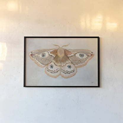 Forest Moth II by Julia Purinton. shown as a paper print in a black flame. Available as a archival giclee rolled canvas, fine art paper, or poster print. SKU 91062i.