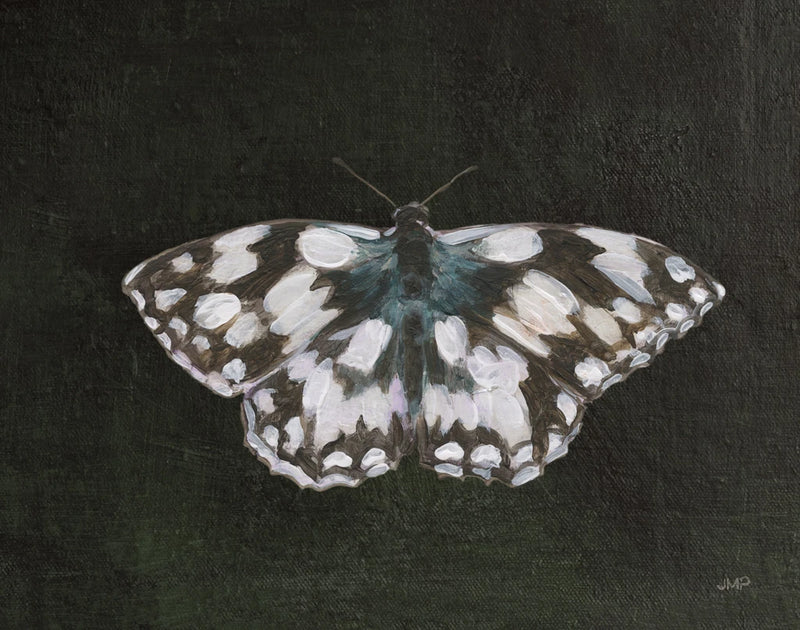 Garden Beauties IV Black by Julia Purinton