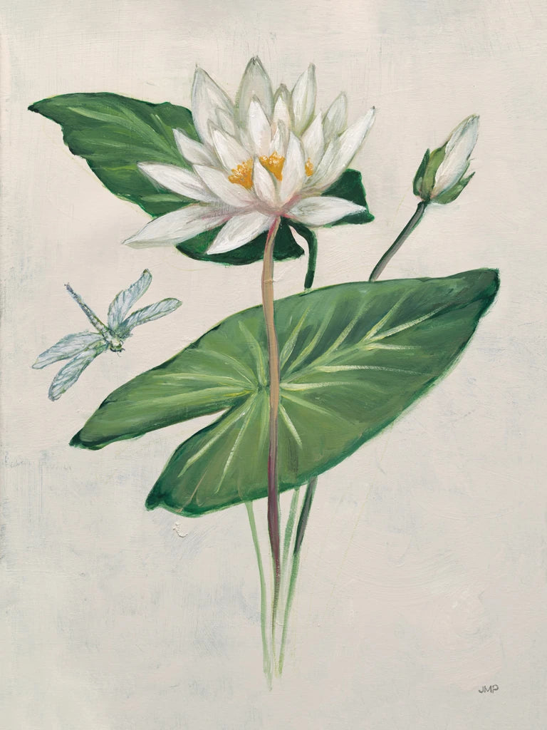 Graceful Lily by Julia Purinton