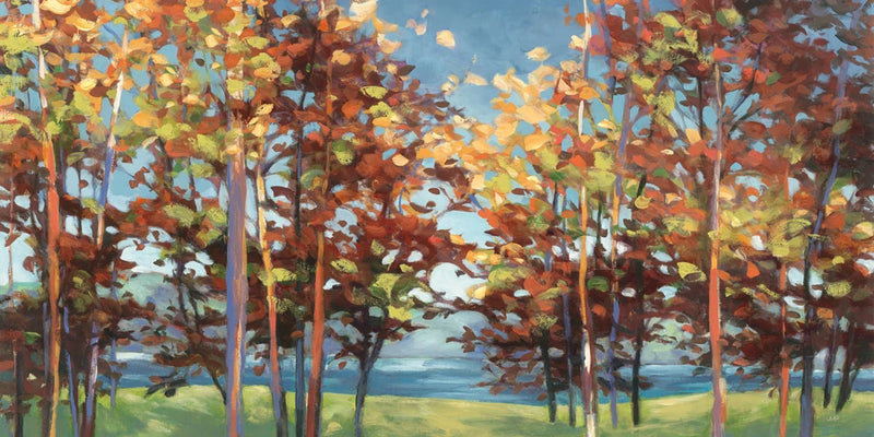 Kaleidoscope Crop by Julia Purinton