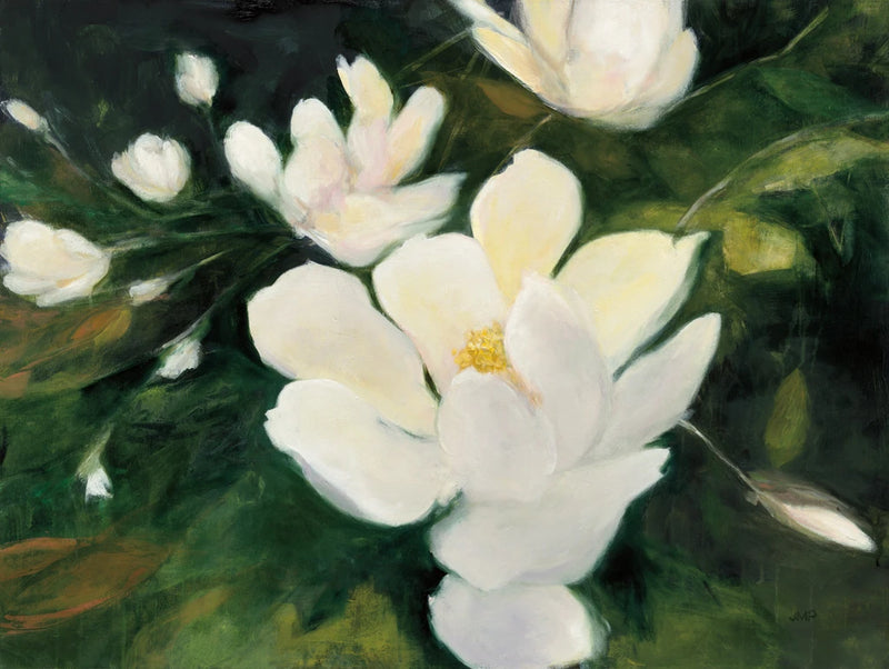 Magnolia Blooms by Julia Purinton
