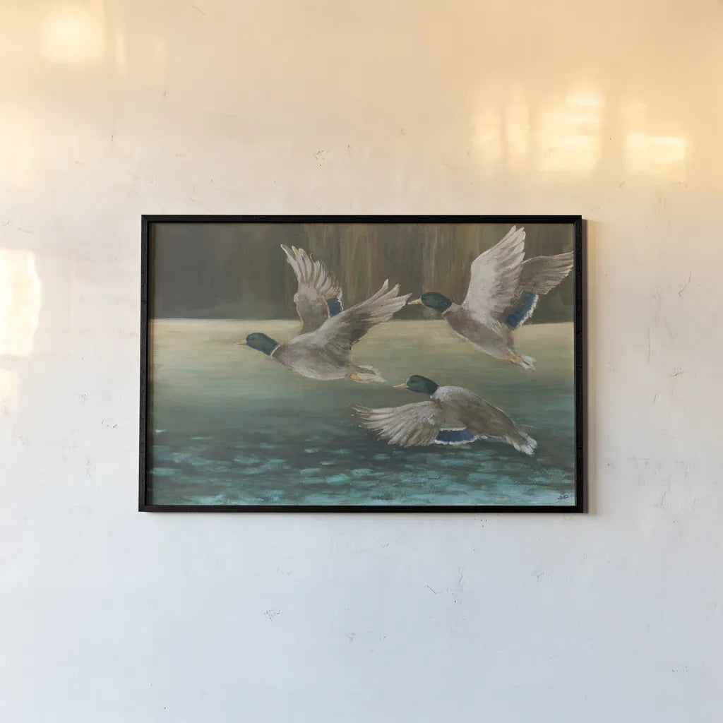 Mallard Flight by Julia Purinton. shown as a paper print in a black flame. Available as a archival giclee rolled canvas, fine art paper, or poster print. SKU 97245i.