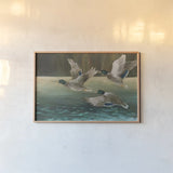 Mallard Flight by Julia Purinton. shown as a paper print in a natural frame. Available as a archival giclee rolled canvas, fine art paper, or poster print. SKU 97245i.