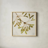 Maple Branch Crop by Julia Purinton. Shown in a natural wood glass frame for a timeless modern aesthetic. Available as an archival giclee rolled canvas, fine art paper, or poster print. SKU 76832a.