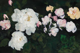 Moms Garden by Julia Purinton. SKU 103377i. Archival Giclee Fine art print for wall decor.