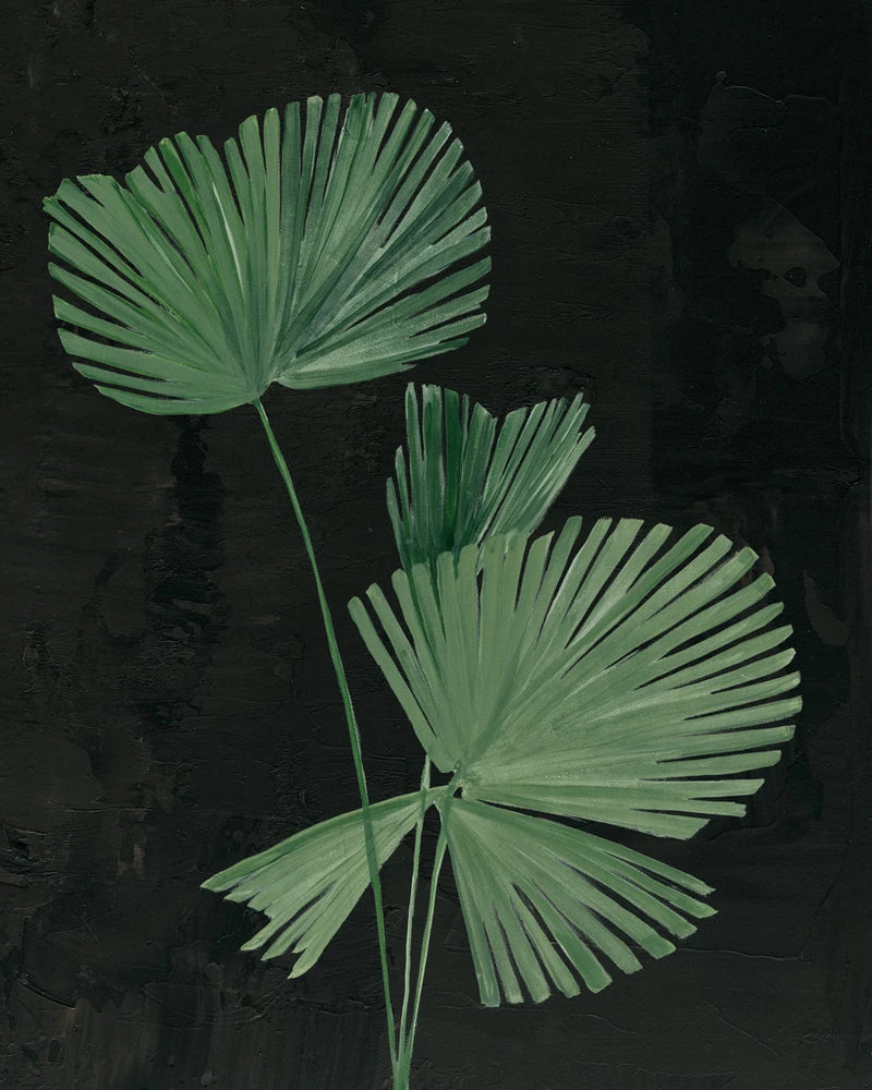 Palm Botanical III Black by Julia Purinton