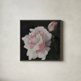 Pink Petals by Julia Purinton. Shown in a sleek black glass frame for a contemporary gallery look. Available as an archival giclee rolled canvas, fine art paper, or poster print. SKU 103374a.