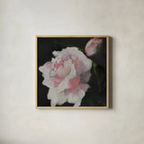 Pink Petals by Julia Purinton. Shown in a natural wood glass frame for a timeless modern aesthetic. Available as an archival giclee rolled canvas, fine art paper, or poster print. SKU 103374a.