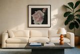 Pink Petals by Julia Purinton. Displayed in a glass frame with matte in a clean modern living room. Available as an archival giclee rolled canvas, fine art paper, or poster print. SKU 103374a.