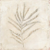 Plantlife I by Julia Purinton. SKU 67937a. Archival Giclee Fine art print for wall decor.