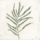Plantlife I Green by Julia Purinton. SKU 75952a. Archival Giclee Fine art print for wall decor.